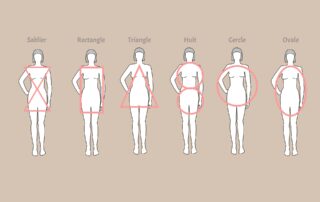 Les morphologies